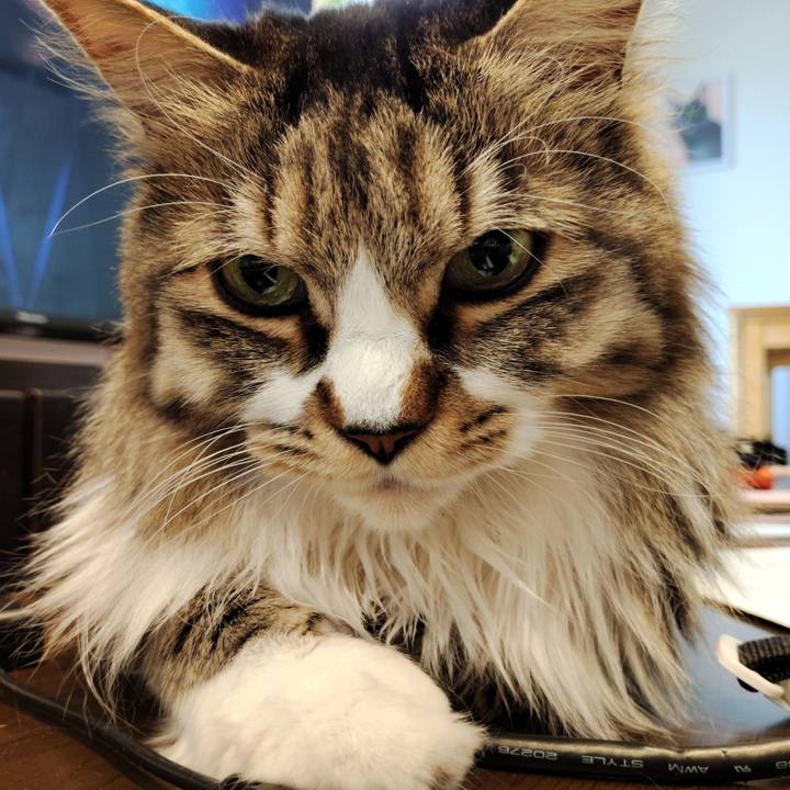 884c0991 887b 4b10 bfea 369642f198b8 1767778371676