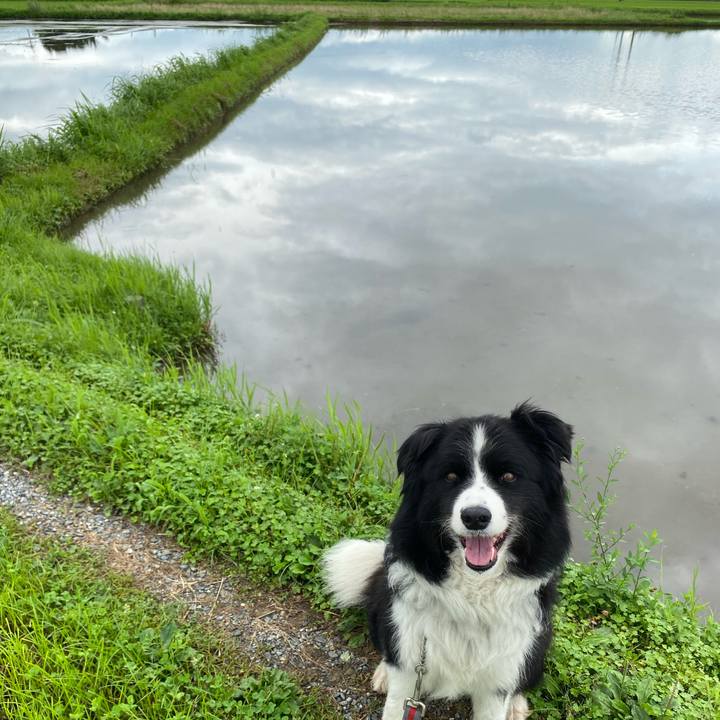 884c7a24 2de6 4601 9a9f 48213c45086a 1594255566422