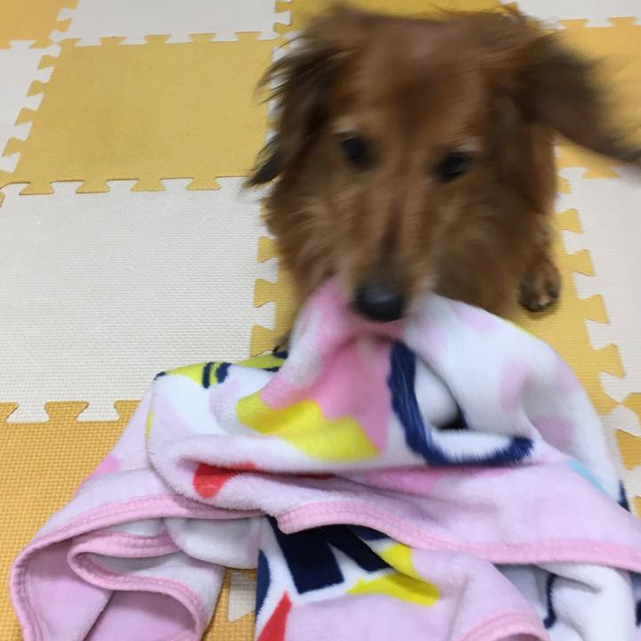 884cc25f d465 4a88 8d7d 00a26de2ae4e 1571839705699