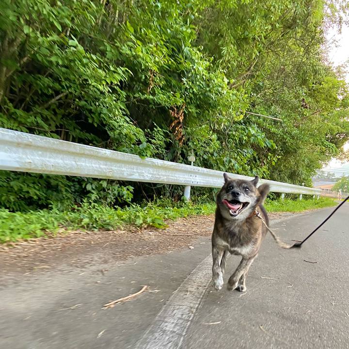 884cd1cc 10b3 4454 ac2c 510fb715e3b0 1627294000480