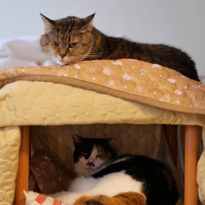 884ce0dc 7b87 4d9b 9735 14d022e1593f 1742624573875