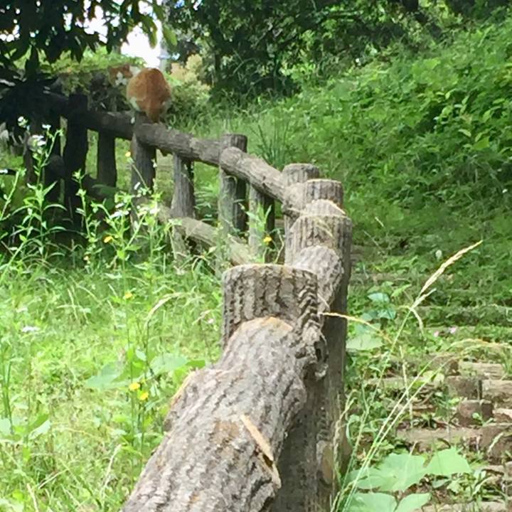 884d0296 74ad 49a7 b0df 3b31372a9f6c 1527328812908