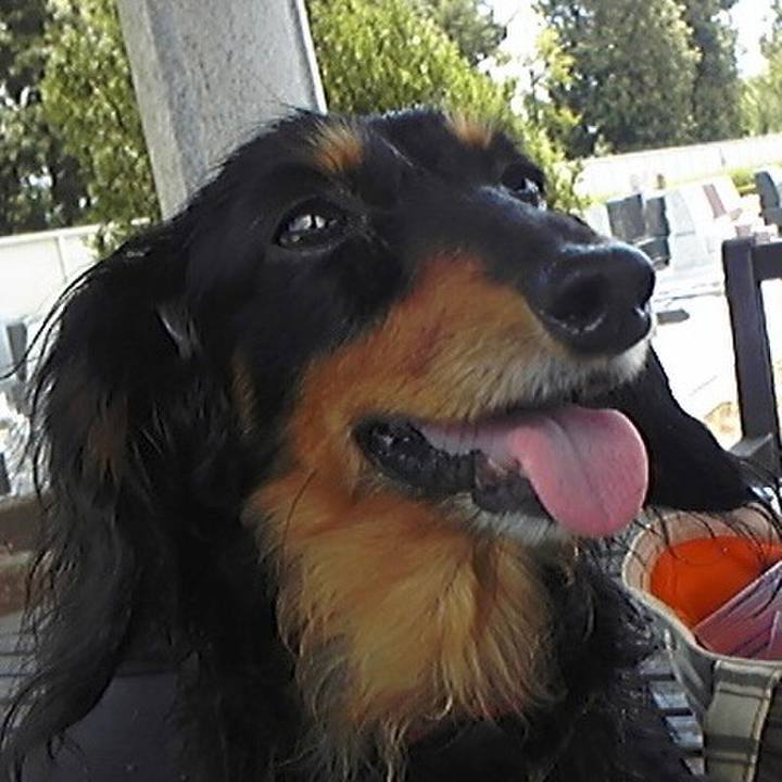 884d1ca9 ddc3 4a49 84af 8407b87ba638 1682617566122