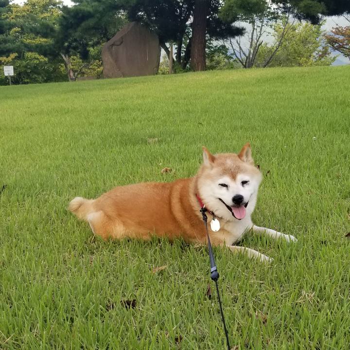 884d2d13 b792 470f bd6f 21a80269ef63 1724142344315