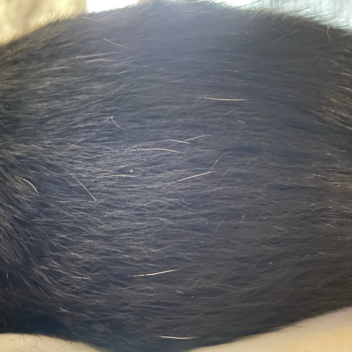 884d3fa7 801c 43db 84fd 202859490e59 1625708152010