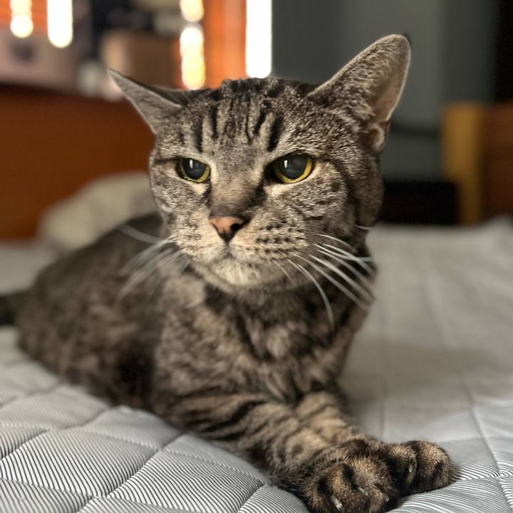 884d63e3 e762 4bc8 9772 b417d48ef9a5 1759019615749