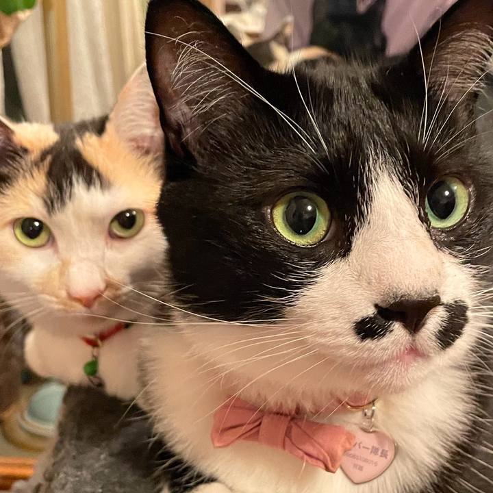 884d932e 0f91 4d15 9236 7bca57032cc2 1735708774633