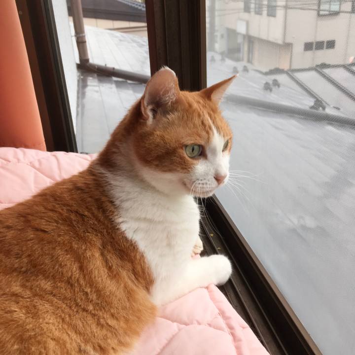 884dc09c 0447 444c aedc 9ad18c86a39b 1571396622985