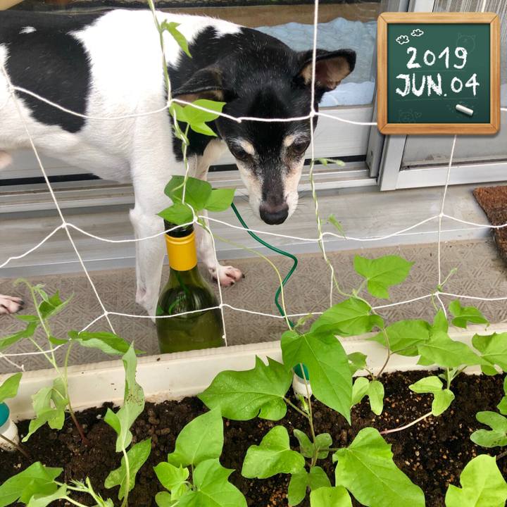 884dcb1f b5e4 421f 9834 dac9820704d2 1559602591085