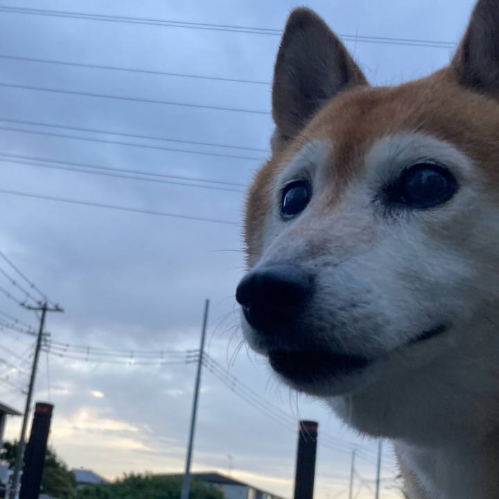 884e1759 8f5a 4886 8bb6 e03282b0508c 1726910334381