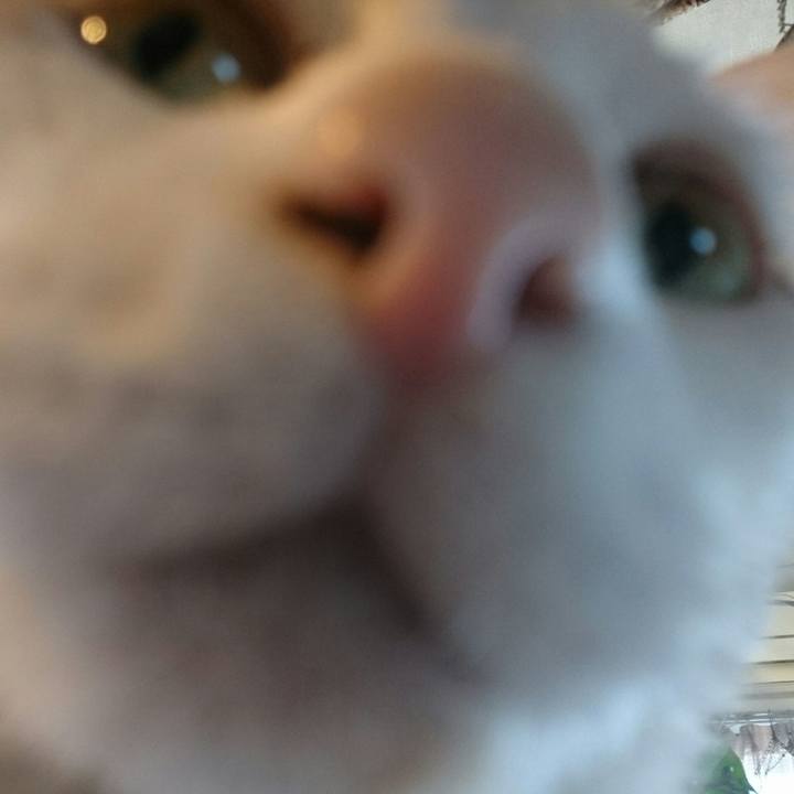 884e1c84 81a3 4c33 ac06 332ecaddc6e2 1565217116975