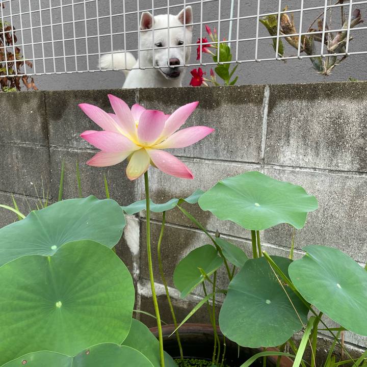 884e287b 1987 4ba4 886c 810c5642c634 1657841983529