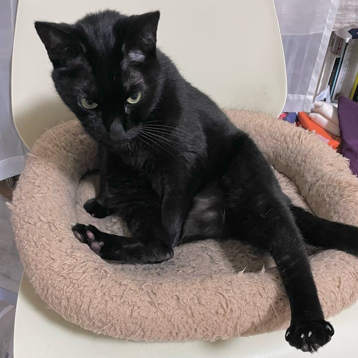 884e832d f2f2 4bb2 8e47 8f2ff3f348b4 1680006385694