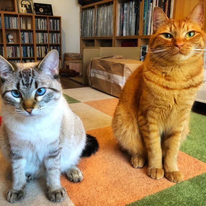 884e9df3 3648 406a ae31 564732c0ad45 1748646260975