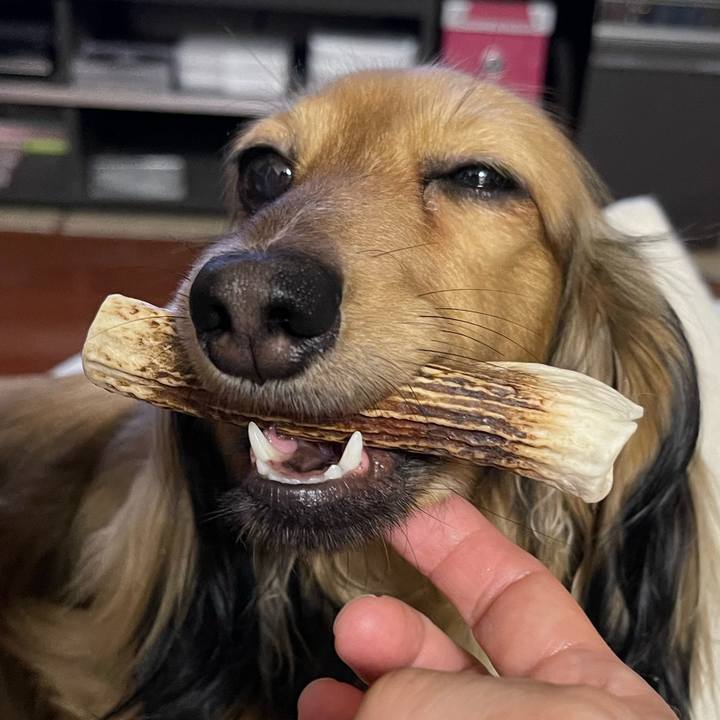 884eabe8 bd3b 4987 9e60 ae7a8cd5e9f1 1663330277508