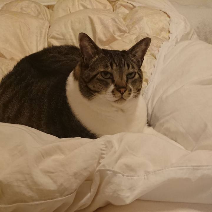 884ebdbe 6241 4f3e 928c 17786fc695ca 1547034794948