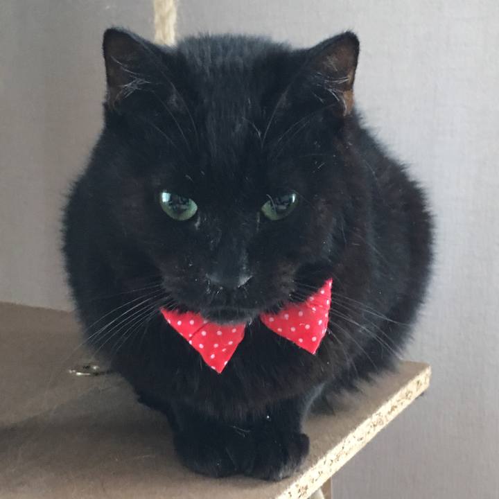 884ec125 75ff 405b 9880 102aaac2ac2e 1549063080456