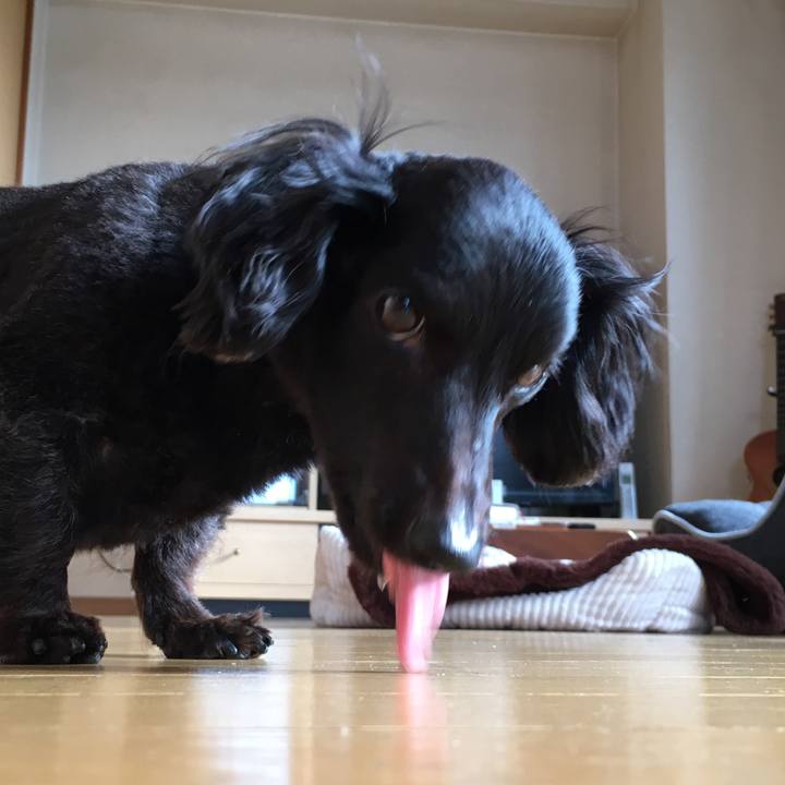 884efaad 62b6 4c8d bc22 00e12e991178 1560722055020