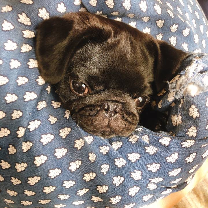 884f028e c906 4353 b2fb 17c7e43be604 1588894817244