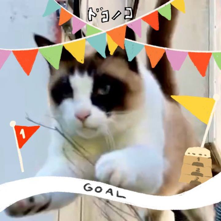 884f1bb7 8022 4c35 adf6 37eb2f6cdbd0 1729076204253