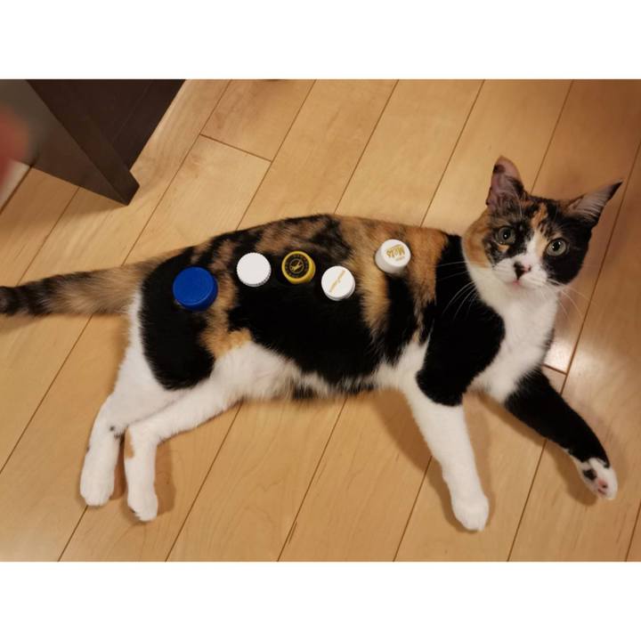 884f2308 181b 4e03 9175 1ba6d629aa4c 1649489716654