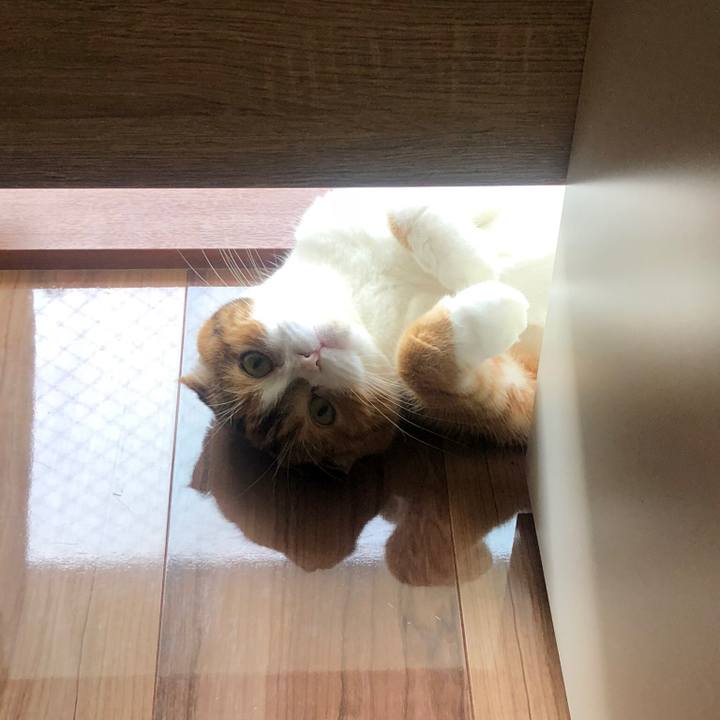 884f5c81 aaf9 4bc7 8364 83408cb0a1a6 1535020610582