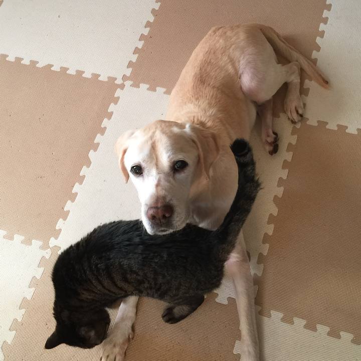 884f6490 138f 4c08 a87e d1d84cd09eca 1510545427673