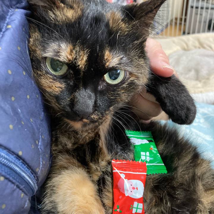 884f64d9 a251 40a1 9058 bc1a348ed109 1735002037141