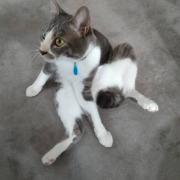 884f7968 447e 4dd0 b672 106681bc6554 1596584997086