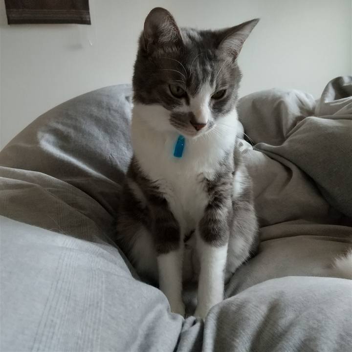 884fb3c7 3ab5 4009 ba23 5b5e342e4503 1616900995541