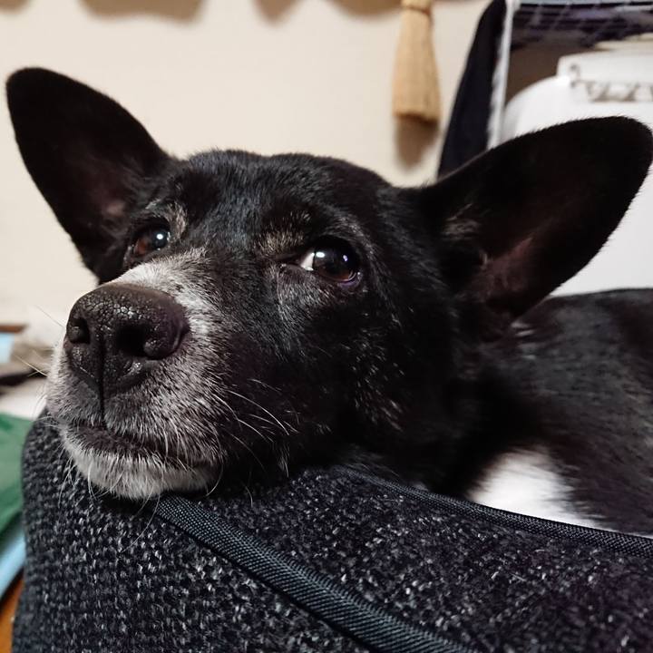 884fb743 4268 4156 869a 82a81c1053c0 1515931989886