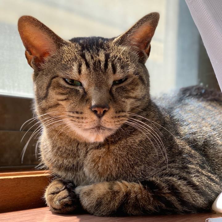 884fc133 20be 4206 a2e3 be394384dd80 1587000457615