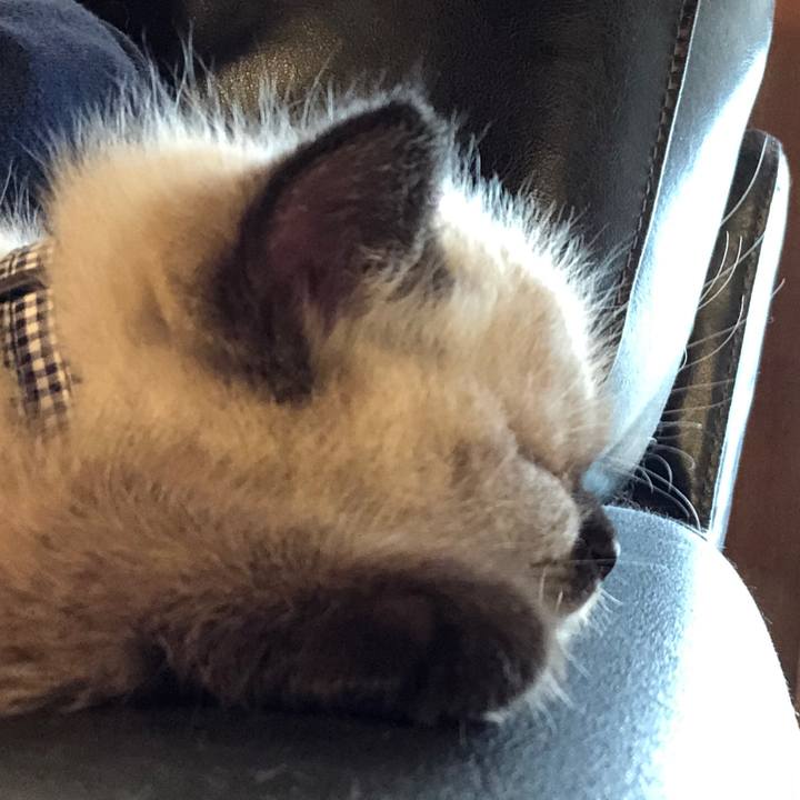 884fc8e4 bafb 4a07 b46b 7f0c29fd5498 1585445474272