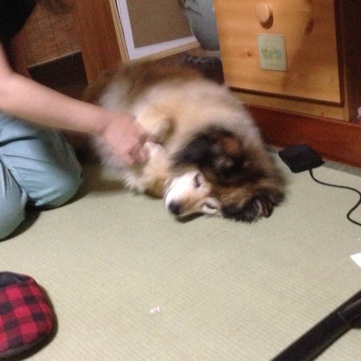 884fca7d 6176 424c a8bc 8ad06c0f4a86 1583861701099