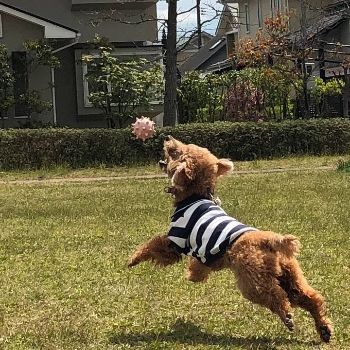 88503298 98ba 4223 b89f 320c41ee68d7 1587960829363