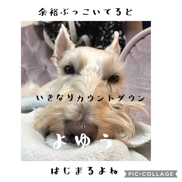 885036fd 8ec3 43d7 894c 6a661bcc0ba3 1578390170985