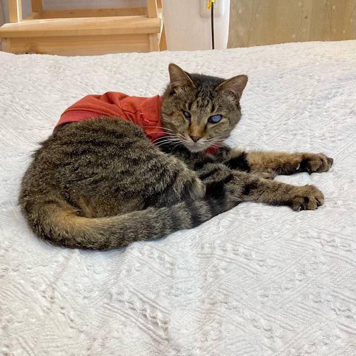 885059b8 de25 4b2b 8aec ae36b45eab02 1681372033505