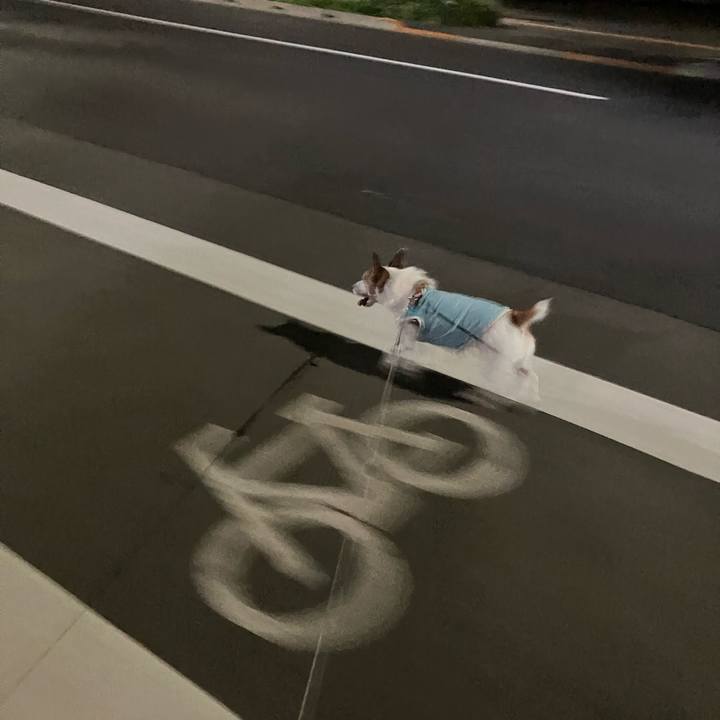 88506523 64f7 4d36 bdba e0ba66de3c42 1691105389018