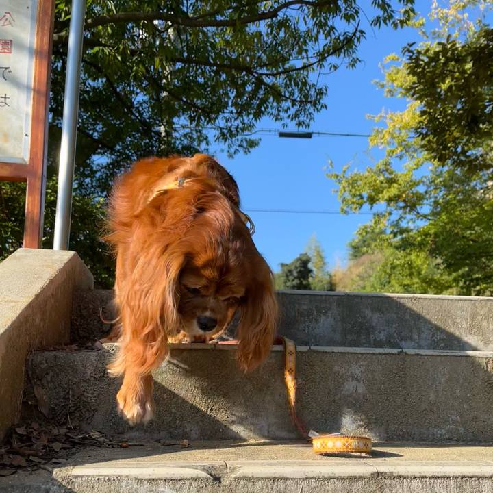 88506977 3473 45f2 a011 c0e4c89c31f3 1666045532646