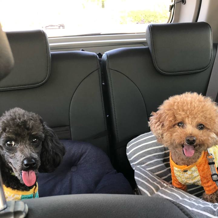 8850780b 74ea 47a1 895c 776f20b7368c 1589003510249