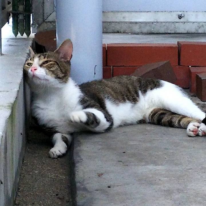 88507e9e edce 4cb7 a4ae 77b2ec6d8309 1535265471607