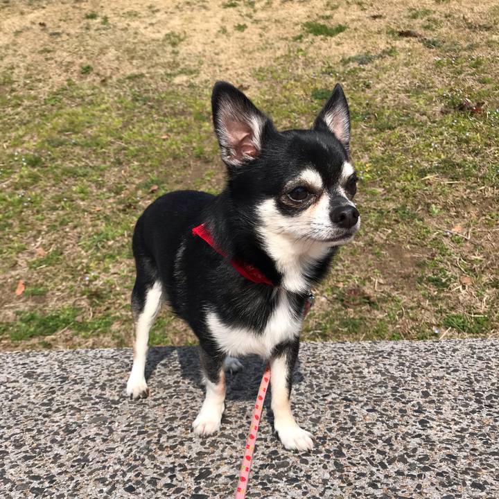 88507f26 094c 4438 9448 82d45b6a5f96 1551510821161