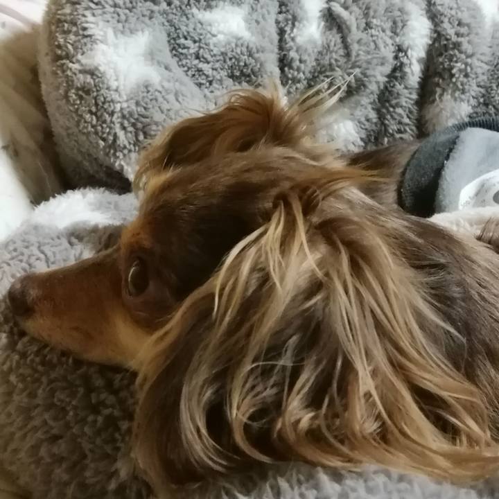 8850d677 2179 48ac bd68 69cb4efef278 1546950119226