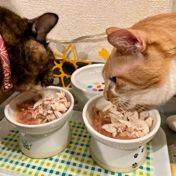 8850e8d0 c67e 4d50 b9f9 96e4b4f8de0c 1720356988608