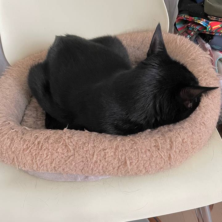 8851285d c7db 4596 a4a4 fe88fe0437ed 1697336763564