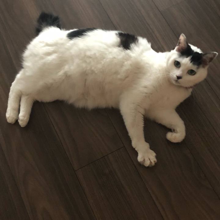 88512ff8 a7f1 429d bfac b5a8e27a22f4 1552692656175