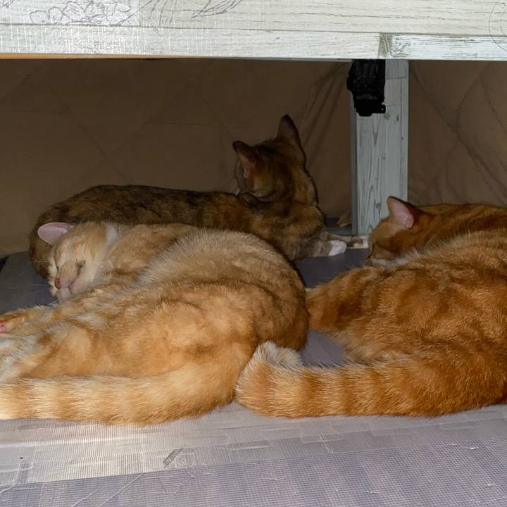 88514c72 7e26 40d5 84c5 a20de14e839f 1612797597192