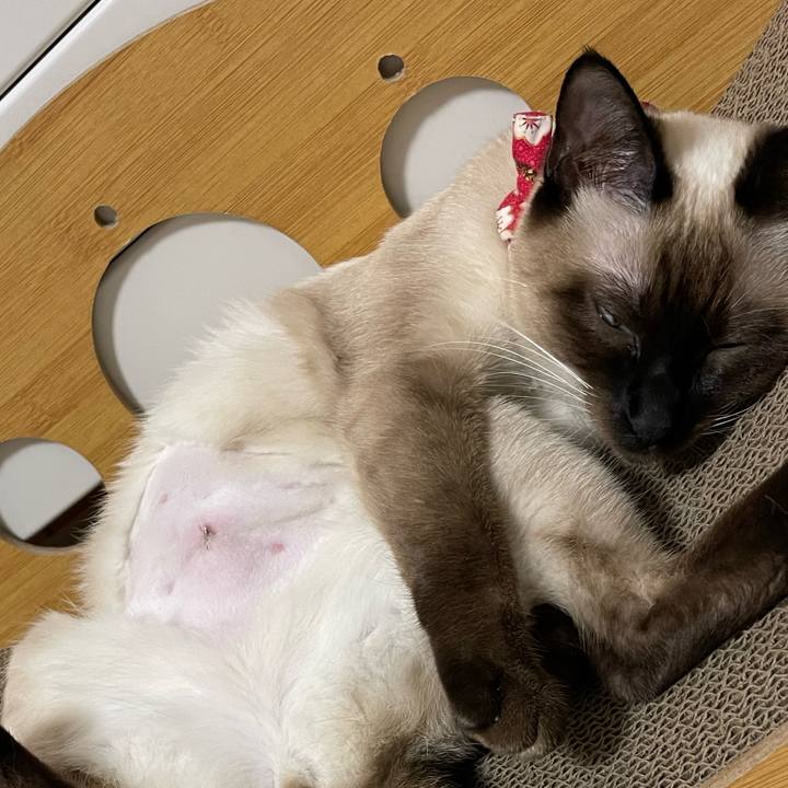 885150d7 27ce 4610 aecc 7c42f4faa30a 1708688581879