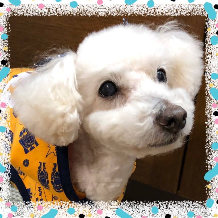 88517e53 efce 49cd 99ba 3437d21d12d5 1551327697340