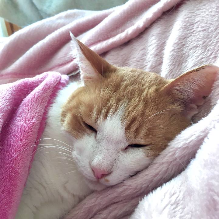 8851a0e8 77b1 4862 90b8 447bf59efbf1 1572420019022